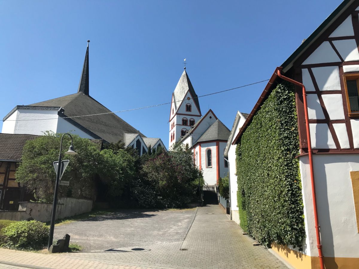 zissen1.jpg